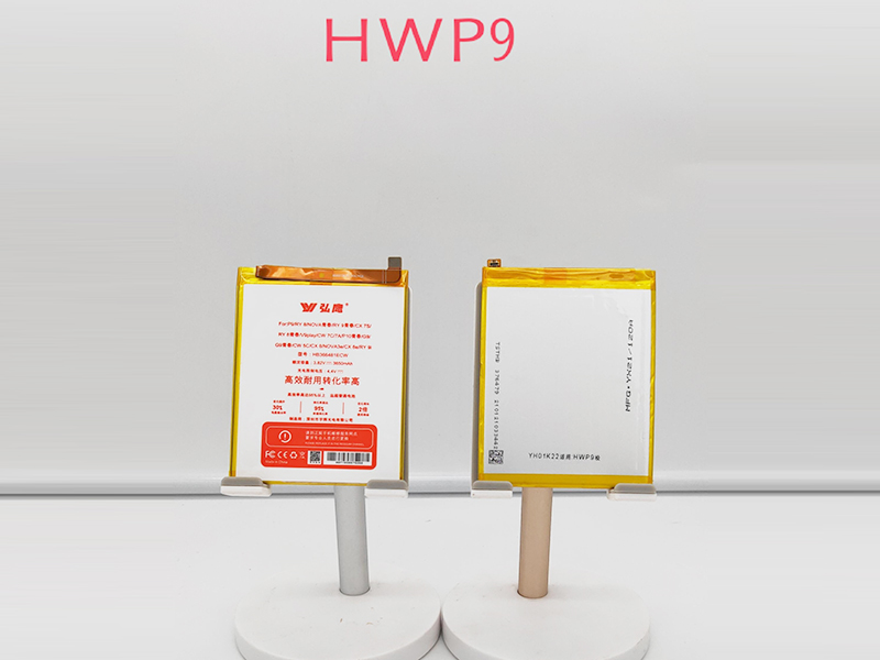 hwp9